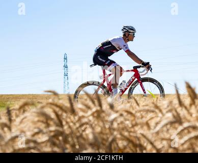 Saint-Quentin-Fallavier, Frankreich - 16. Juli 2016: Der Belgier Jasper Stuyven vom Team Trek-Segafredo fährt während der Etappe in einer Weizenebene Stockfoto
