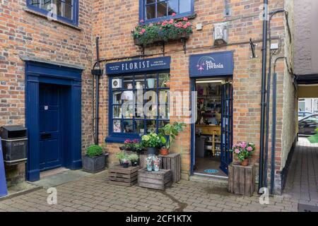 Zurück zu The Fuchsia, ein schrulliger Name für einen Floristen-Shop, in der Marktstadt Stony Stratford, Großbritannien Stockfoto