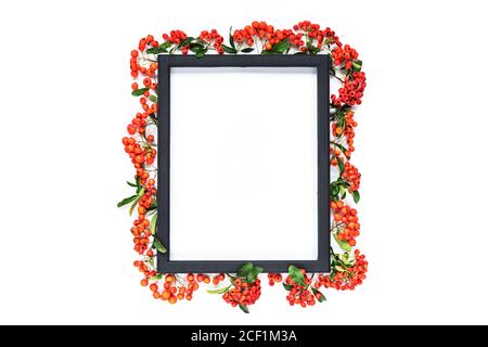 Rahmen und Trauben von Orangenbeeren auf weißem Hintergrund, nachgestellt, flach gelegt. Stockfoto