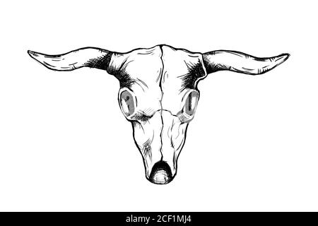 Kopf Stier Schädel für wilden Westen Symbol Skizze von Hand gezeichnet Abbildung isoliert mit weißem Hintergrund Stock Vektor