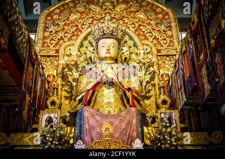 Maitreya Buddha befindet sich im Sherabling-Kloster von Bir Billing, Himachal Pradesh, Indien. Berühmtes buddhistisches Kloster in Bir & Billing of Himachal Prades Stockfoto