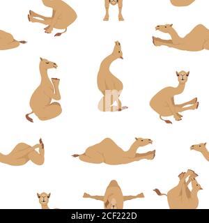 Kameliden Kollektion. Nahtloses Design mit Kamel-Yoga-Dromedary. Vektorgrafik Stock Vektor