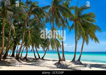 Leeres sauberes Paradies White Beach von Boracay Island mit vielen Kokospalmen an einem sonnigen Tag mit blauem Himmel, Aklan, Visayas, Philippinen, Stockfoto