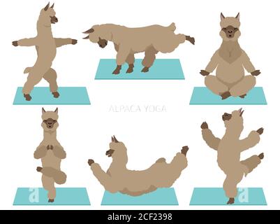 Kameliden Kollektion. Alpaca Yoga Grafikdesign. Vektorgrafik Stock Vektor