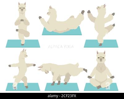 Kameliden Kollektion. Alpaca Yoga Grafikdesign. Vektorgrafik Stock Vektor