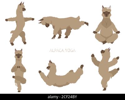 Kameliden Kollektion. Alpaca Yoga Grafikdesign. Vektorgrafik Stock Vektor