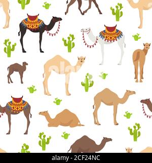 Kameliden Kollektion. Nahtloses Design mit Dromedary-Kamel. Vektorgrafik Stock Vektor