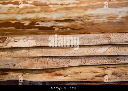 Holzstruktur und Holzoberfläche aus der Nähe Stockfoto
