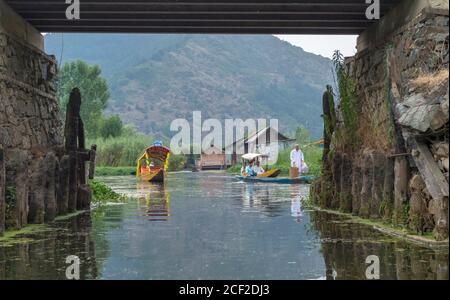 1 Jul 2017, Srinagar, Kashmir, Indien : Wasserwege am Dal See mit Einheimischen auf Shikars oder Holzbooten Stockfoto