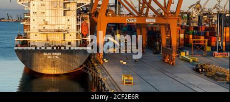 Containerschiff am Baltic Container Terminal in Gdynia Stockfoto