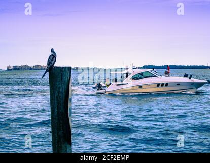 Miami, Florida/USA, 07/17/2020 -Individuelle Boot auf dem Miami South Channel in der Nähe von Brickell Key Park's Waterfront, Menschen auf einem Bootsausflug in Miami n Stockfoto