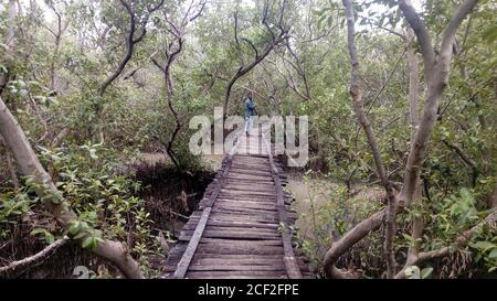 Mann im Wald Stockfoto