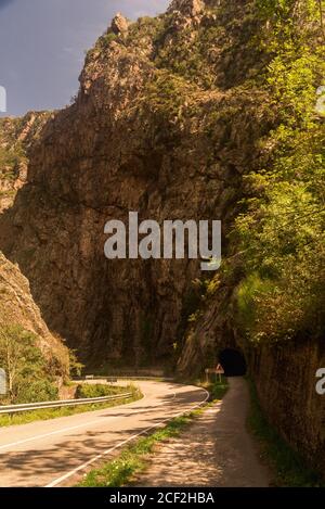 Track Way in der Natur asturias spanien Stockfoto