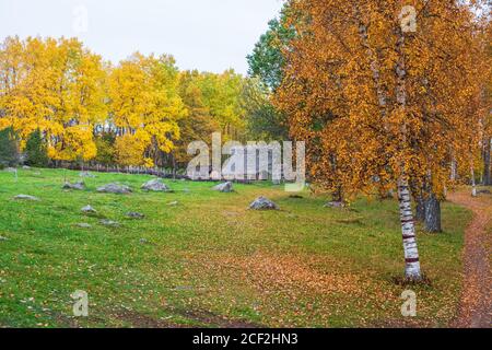 Langhaus auf einer Wiese in einer wunderschönen Herbstlandschaft Stockfoto