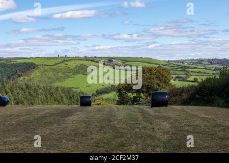 Silageballen im Feld warten auf die Abholung Stockfoto