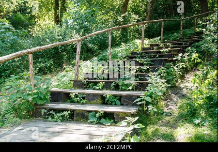 Alte Holztreppe im Park an hellen sonnigen Sommer Tag Stockfoto