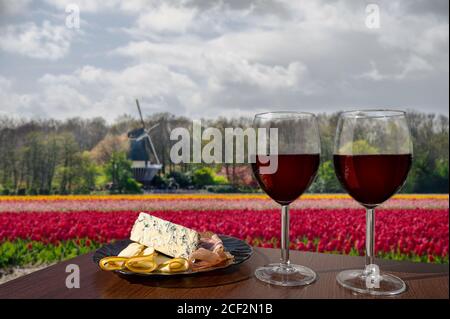 Zwei Gläser Rotwein mit Käse- und Fleischsortiment auf dem Tulpenfeld und der Windmühle in den Niederlanden. Ein Glas Rotwein mit verschiedenen Snacks Stockfoto