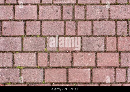 Straße gepflastert mit Bürgersteig Fliesen. Schöne Backstein-Hintergrund mit, Mauerwerk Textur von hellbraunen Ziegel. Im Freien Nahaufnahme Stockfoto