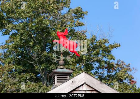 Fliegende Schwein Wetterfahne. Lustige Figur der Sprache Idiom. Stockfoto