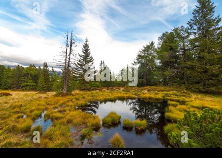 Himmel und Bäume spiegeln sich in einem kleinen Hochmoorsee am Moserkopf-Berg, Faningberg im Lungau. Herbststimmung, der Himmel ist bewölkt. Stockfoto