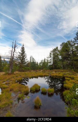 Himmel und Bäume spiegeln sich in einem kleinen Hochmoorsee am Moserkopf-Berg, Faningberg im Lungau. Herbststimmung, der Himmel ist bewölkt. Stockfoto
