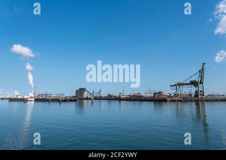 Kohle-Terminal mit großen Industriekranen für den Umschlag von Kohle Transport Auf der Maasvlakte im Hafen von Rotterdam Stockfoto