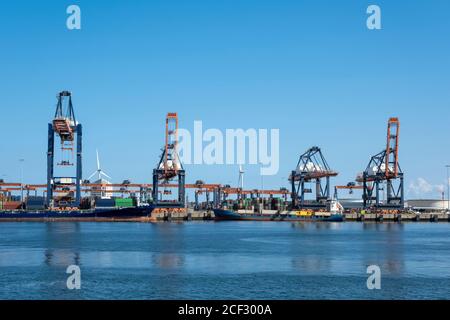 Kohle-Terminal mit großen Industriekranen für den Umschlag von Kohle Transport Auf der Maasvlakte im Hafen von Rotterdam Stockfoto