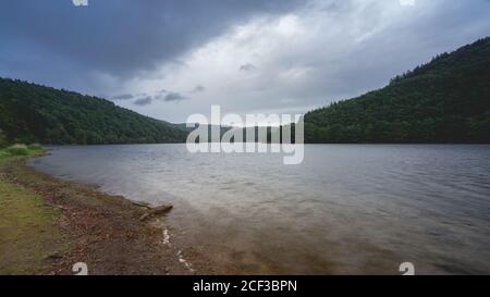 Obersee in Eifel Nationalpark Deutschland Stockfoto