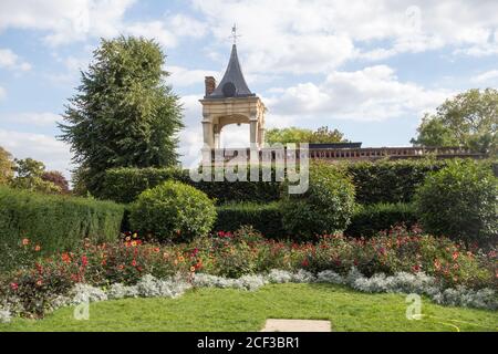 Rosen in der Orangerie, Holland Park, Kensington, London, W8, Großbritannien Stockfoto