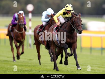 Ohne EINEN Kampf von Jockey geritten Andrea Atzeni gewinnt die Read Ryan Moore Columns auf betting.betfair Handicap Rennen, die in seinem 100. Nationalen Karriere Sieg auf Haydock Park Rennbahn, Haydock führt. Stockfoto