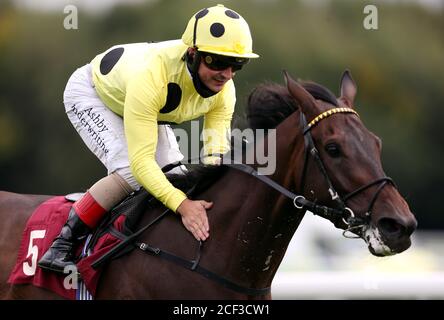 Ohne EINEN Kampf von Jockey geritten Andrea Atzeni gewinnt die Read Ryan Moore Columns auf betting.betfair Handicap Rennen, die in seinem 100. Nationalen Karriere Sieg auf Haydock Park Rennbahn, Haydock führt. Stockfoto