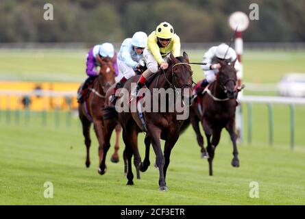 Ohne EINEN Kampf von Jockey geritten Andrea Atzeni gewinnt die Read Ryan Moore Columns auf betting.betfair Handicap Rennen, die in seinem 1000. Inländischen Karriere Sieg auf Haydock Park Racecourse, Haydock führt. Stockfoto