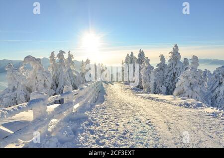 Landschaft mit Skipiste in Poiana Brasov, Rumänien Stockfoto