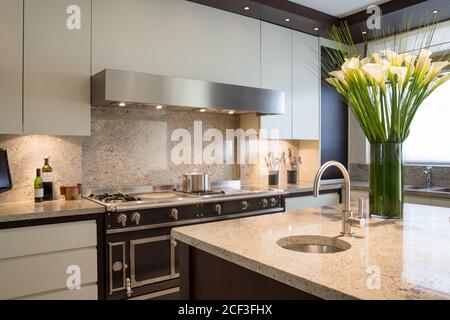 Blumenschmuck in der modernen Küche Stockfoto