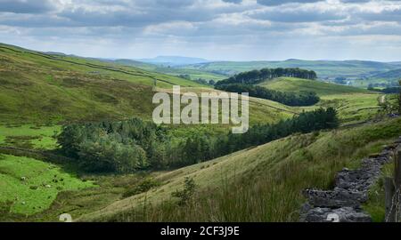 Moorland, Bäume und Täler in der Nähe von Horton in Ribblesdale im Yorkshire Dales National Park, North Yorkshire, mit Schar von Pendle Hill in weiter Ferne Stockfoto