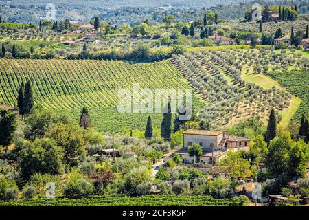 San Gimignano, Italien Hügellandschaft mit Weinbergen und Haus Villen Landschaft im Dorf im Sommer Luftbild Hochwinkel mit Olivenzypresse t Stockfoto