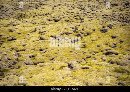 Felsen Formen Formationen in Island gelb grün Moos bedeckt Steine Im südlichen Ring Straße zeigt Muster und Textur Stockfoto