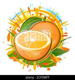 Orange und eine halbe Frucht. Isolierter Vektor auf weißem Hintergrund. Sommer Zitrusfrüchte in Spritzern von Saft, Sonnenlicht, Laub und Regentropfen. Etikett, Logo. Stock Vektor