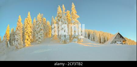 Das goldene Licht bei Sonnenuntergang auf einem Berg in der Wintersaison. Poiana Brasov, Rumänien. Stockfoto