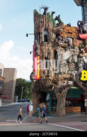 Ripley's Glauben Sie es oder nicht! museum in Gatlinburg, Tennessee, USA. Stockfoto