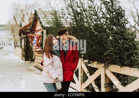 Ein schönes, junges Paar hat Spaß bei der Auswahl eines Weihnachtsbaums für zu Hause auf dem Weihnachtsbaummarkt. Konzept für Liebe, Neujahr, Weihnachten und Geschenkeinkäufe. Stockfoto