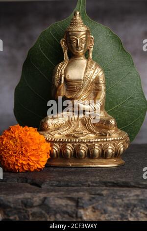 Gautama Buddha Statue vor dem Hintergrund des pipal Blatt Stockfoto