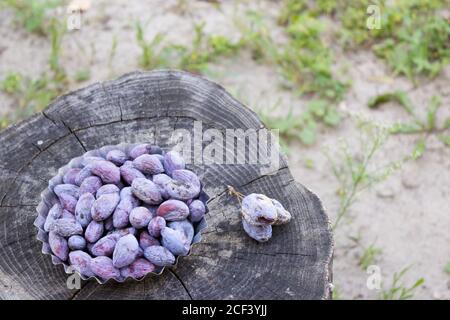 Platte auf einem Holztisch mit hässlichen Pflaumen Stockfoto