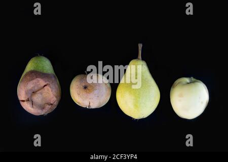 Hässliches Set von Früchten aus Äpfeln und Birnen auf schwarzem Hintergrund, das Konzept ist nicht ideal Stockfoto