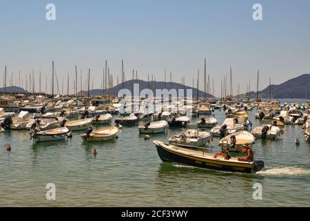 Mann an Bord eines Motorbootes im Hafen von Lerici mit dem Vorgebirge von Porto Venere, Palmaria und Tino Inseln im Hintergrund, La Spezia, Italien Stockfoto