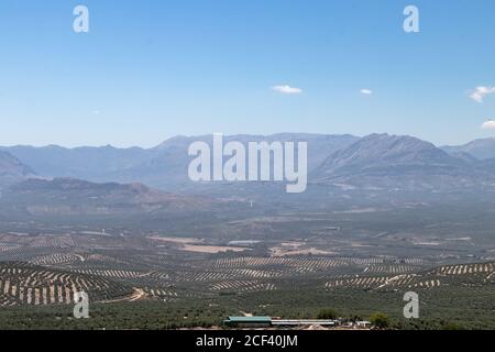 Blick auf Olivenhaine mit Cazorla Bergen im Hintergrund in Baeza Dorf, Jaen, Andalusien, Spanien Stockfoto