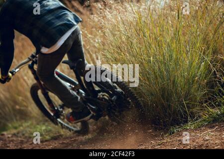 Rückansicht des beschnittenen unerkennbaren Mannes im Helm, der bergab fährt Beim Mountainbiken üben im Wald Stockfoto