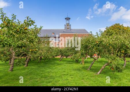 Obstgarten Apfelbäume entlang einer Kirche bereit für die Ernte Im Herbst in Winssen in den Niederlanden Stockfoto