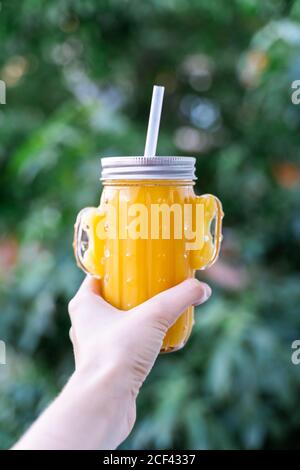 Crop Hand hält Kaktus geformten Einmachglas mit Stroh gefüllt Mit gelbem Smoothie auf verschwommenem Hintergrund des Gartens Stockfoto