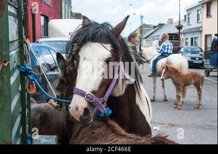 Listowel, Irland - 2. Juli 2015: Menschen und Pferde auf den Straßen von Listowel während des Pferdemesse. Stockfoto